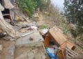 colonia-gatos-destrozada-recinto-1