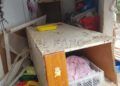 colonia-gatos-destrozada-recinto-2