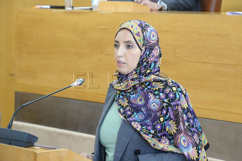 fatima-hamed-mdyc-pleno-101120-9