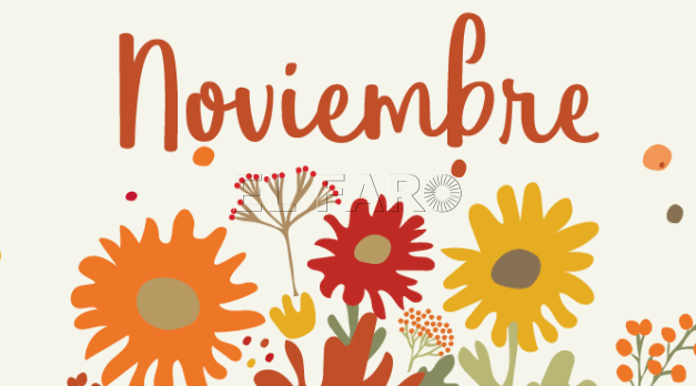 mes-noviembre