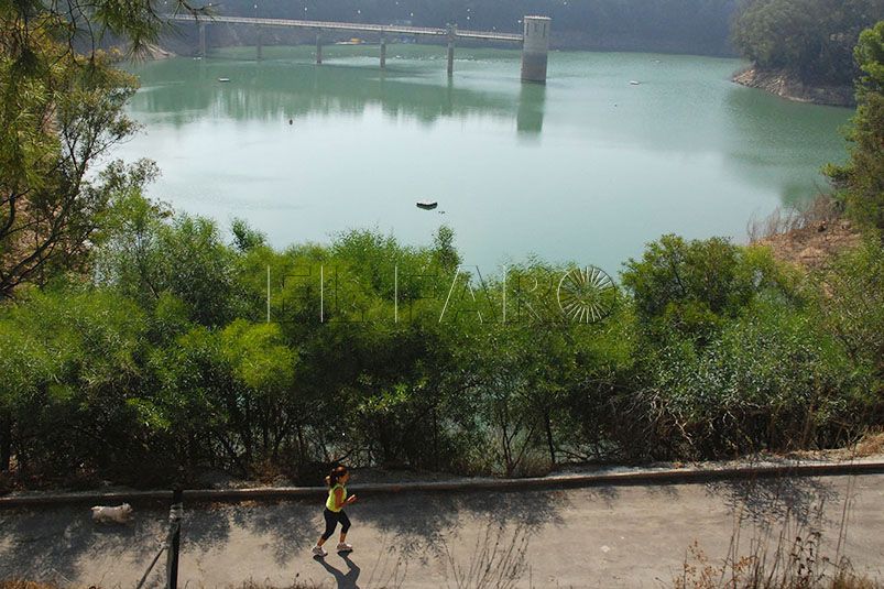 pantano