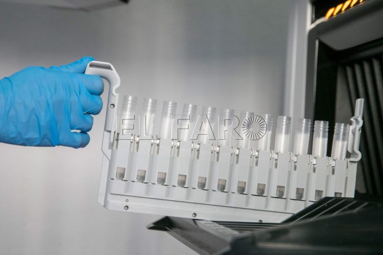 pcr