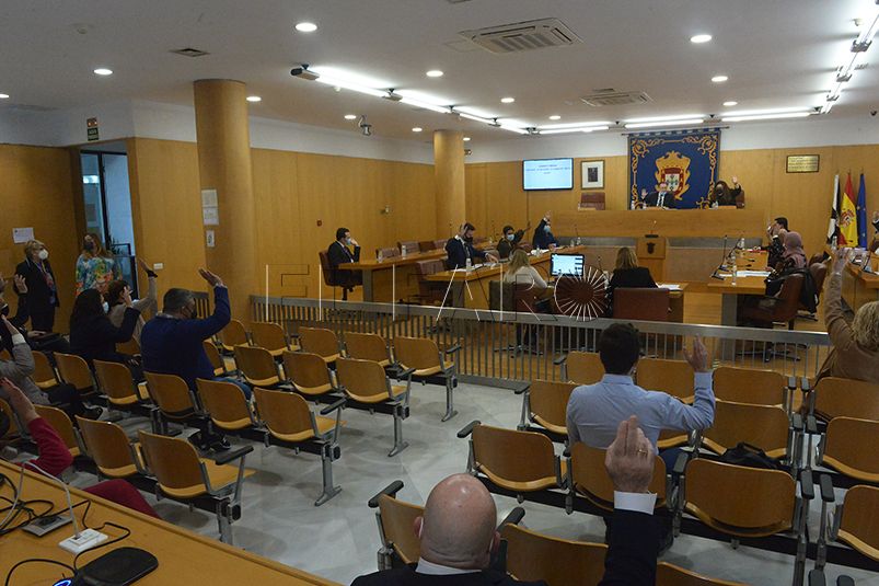 pleno-1