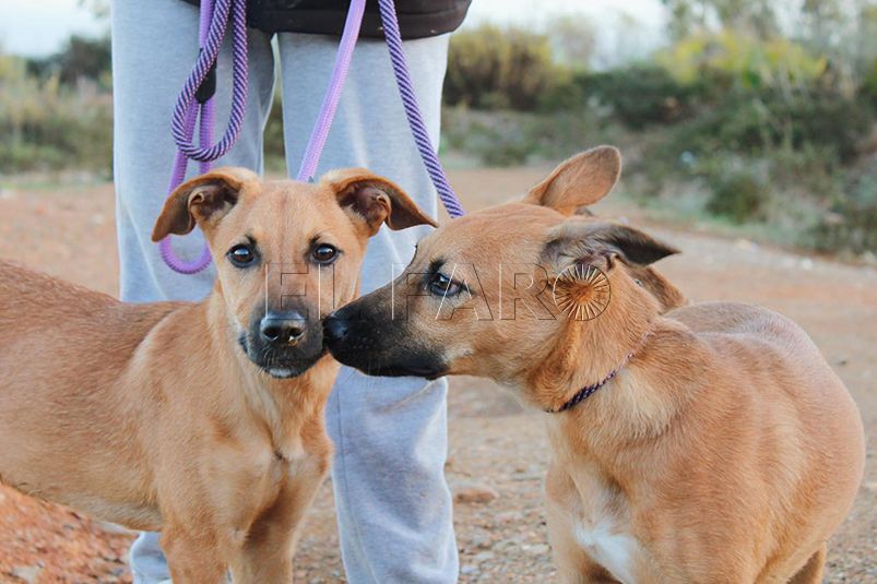 tina y canela