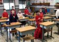 Primaria 7