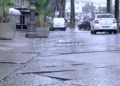 asfalto-palmeras-6