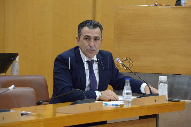 carlos-rontome-pleno-diciembre