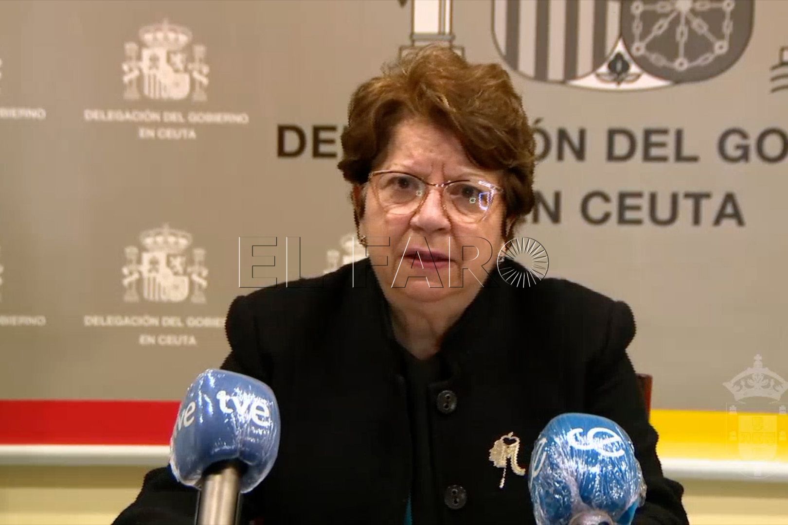 delegacion-gobierno-salvadora-mateos-rueda-prensa