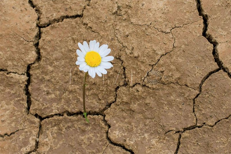 resiliencia