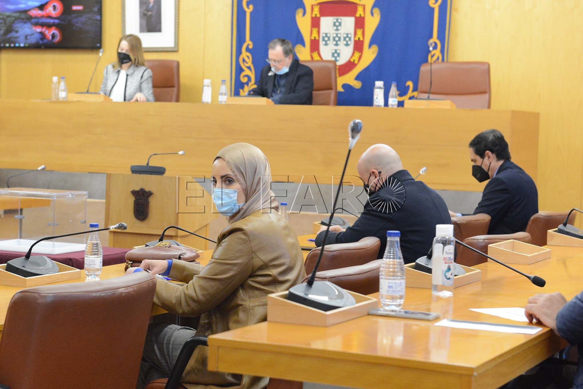 fatima-hamed-pleno-vicepresidencias