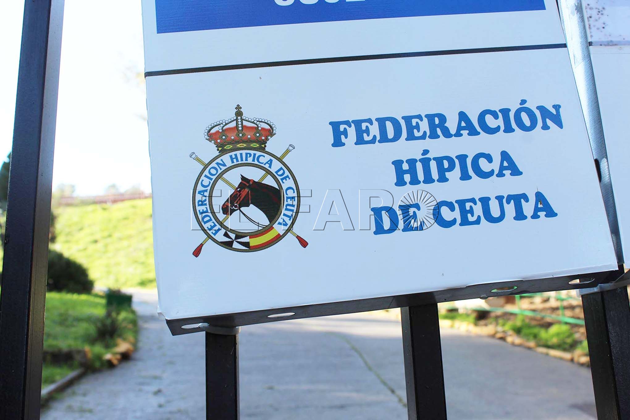 federacion-hipica