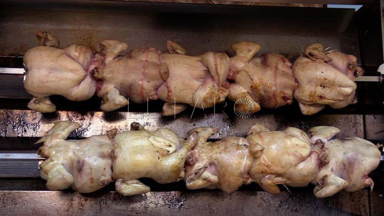 pollo