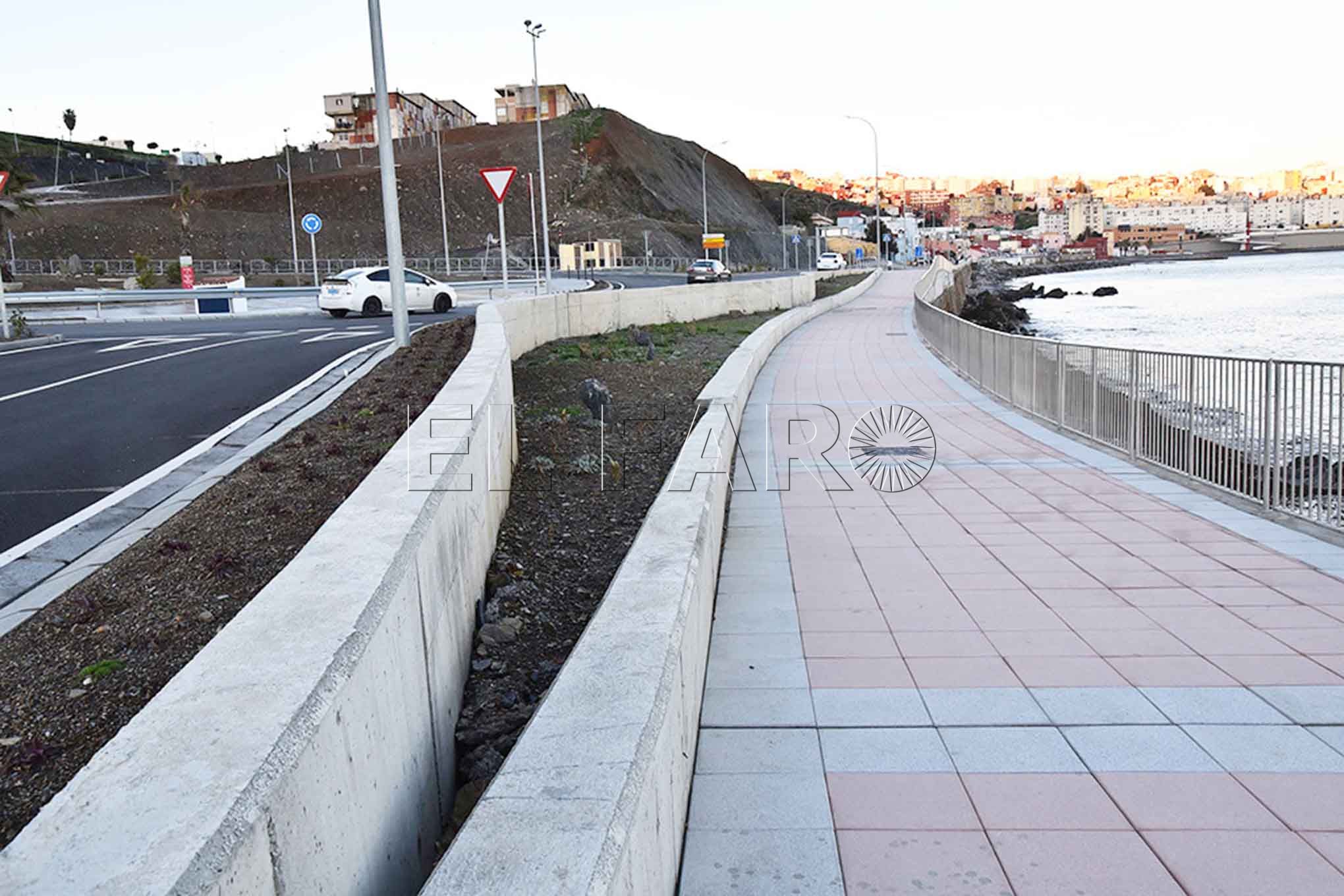 plantas-muertas-carretera-frontera-1