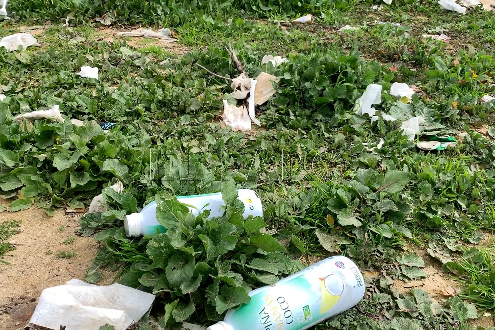 basura-1