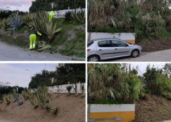 limpieza-medio-ambiente