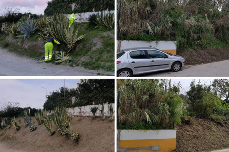 limpieza-medio-ambiente