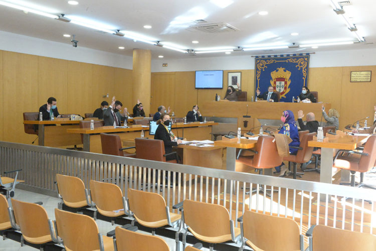 pleno-asamblea-11022021-103