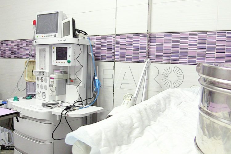 Veterinarios 5