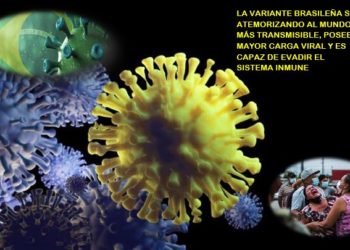 brasil-convierte-entramado-variantes-sars-cov-2-2