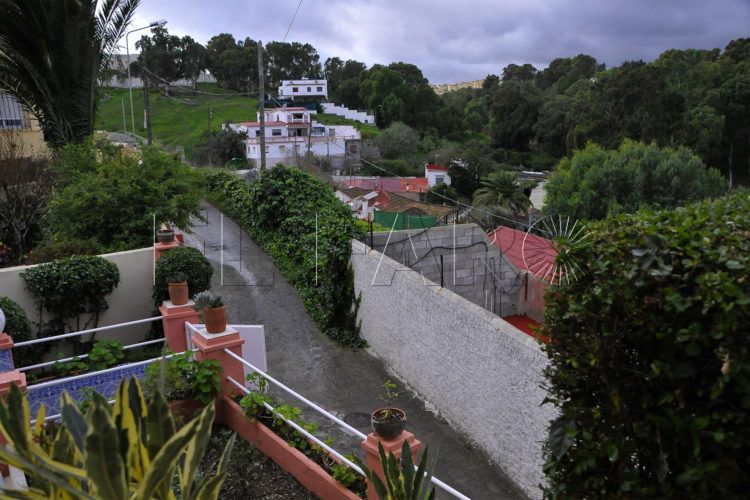 cria-caballar