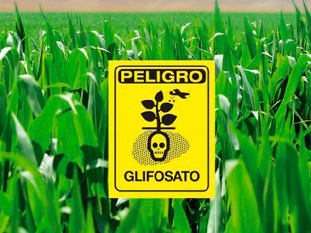 glifosato