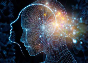 origen-conciencia-humana