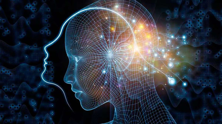 origen-conciencia-humana