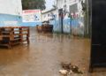 protectora-inundada-marzo-lluvias-1
