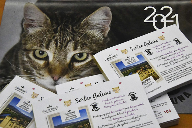 sorteo-sociedad-gatuna