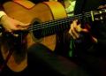 Flamenco10
