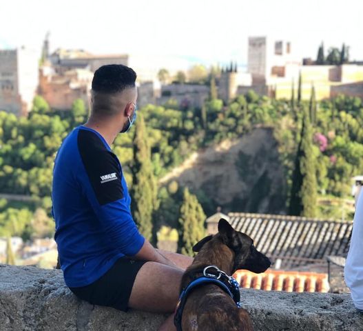 ares-perro-granada-selam