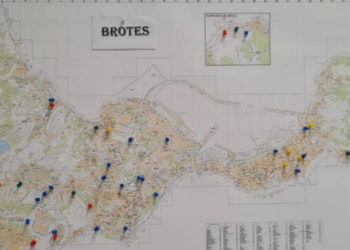 brotesactivos84