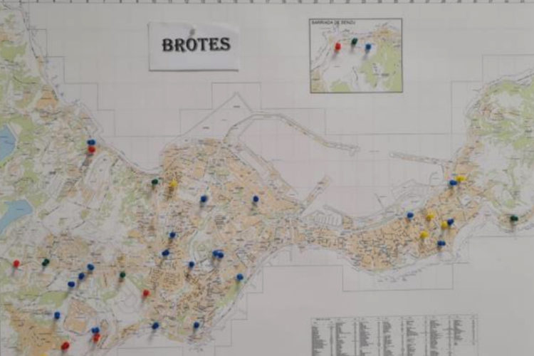 brotesactivos84