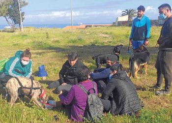miel-galga-2