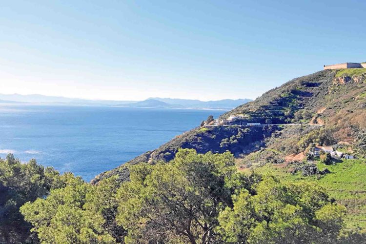 saber-despedirse