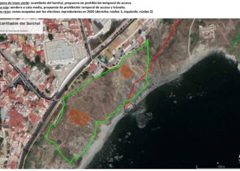 sendero-gaviotas