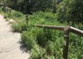 sendero-parque-san-amaro-9
