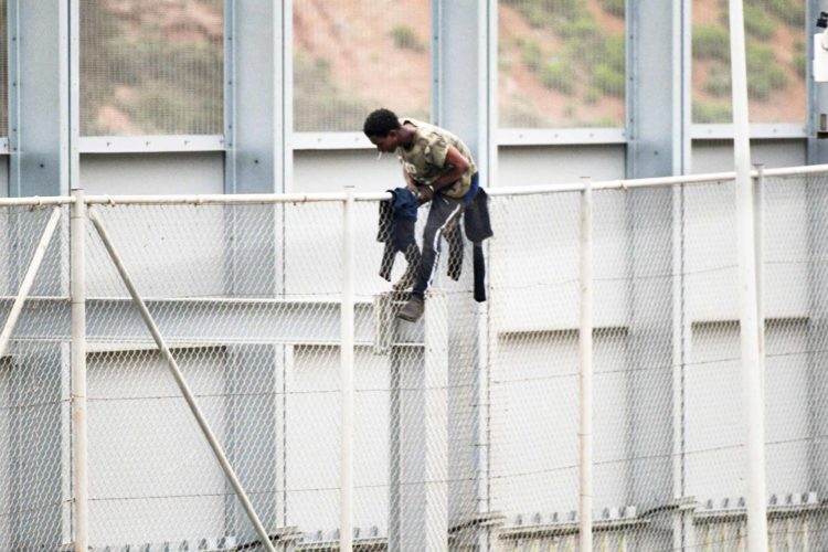 inmigrante-encaramado-valla