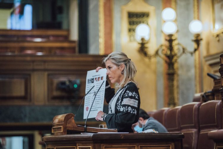 teresa-lopez-congreso-vox-2