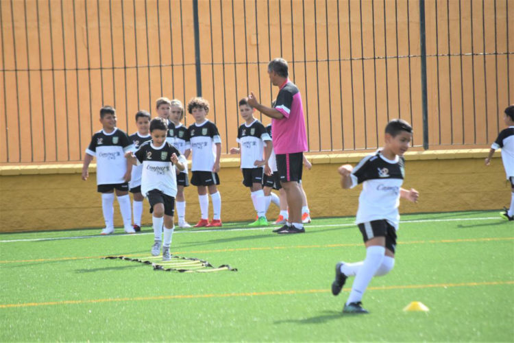 campus-futbol-ffce