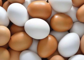 huevos