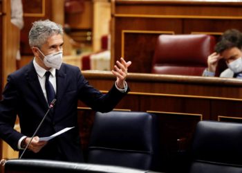 marlaska-congreso