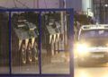 militares-frontera-tarajal-entrada-inmigrantes-19