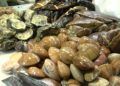 comercio-pescaderia