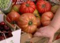fruteria-afri-comercio-13