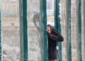 inmigrantes-mena-puerto-16