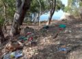 basura-hacho12