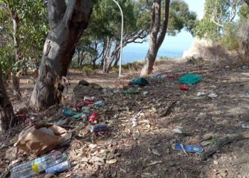 basura-hacho12