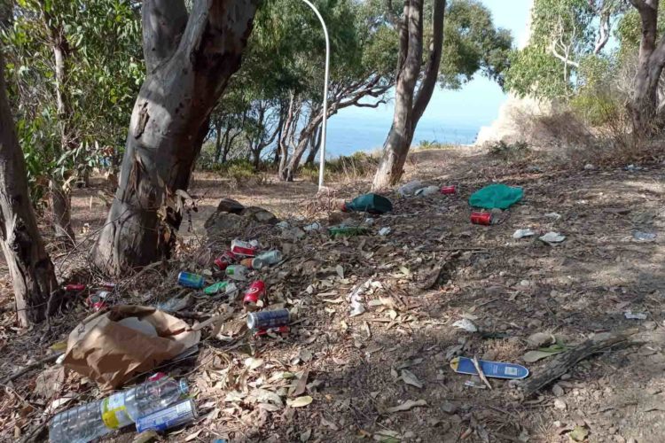 basura-hacho12