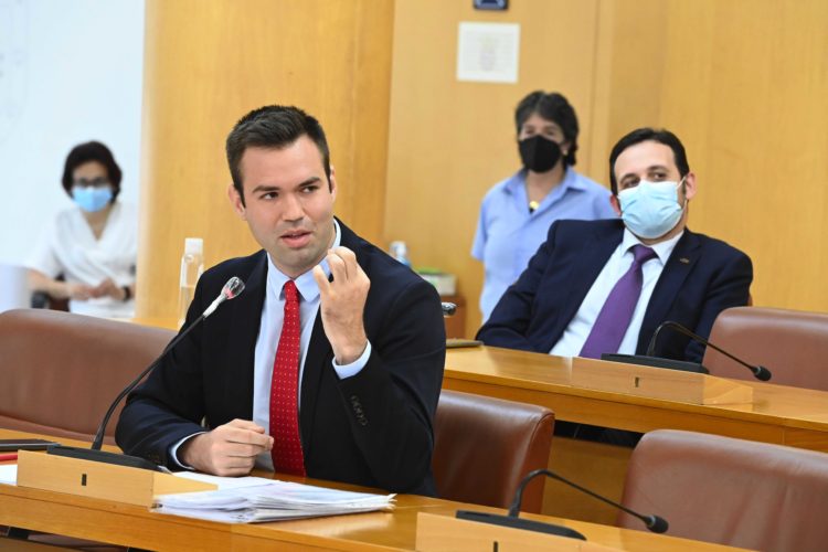 carlos-verdejo-juan-sergio-redondo-vox-pleno